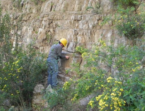 Riqualificazione territoriale di una attività estrattiva – Sarno (SA)